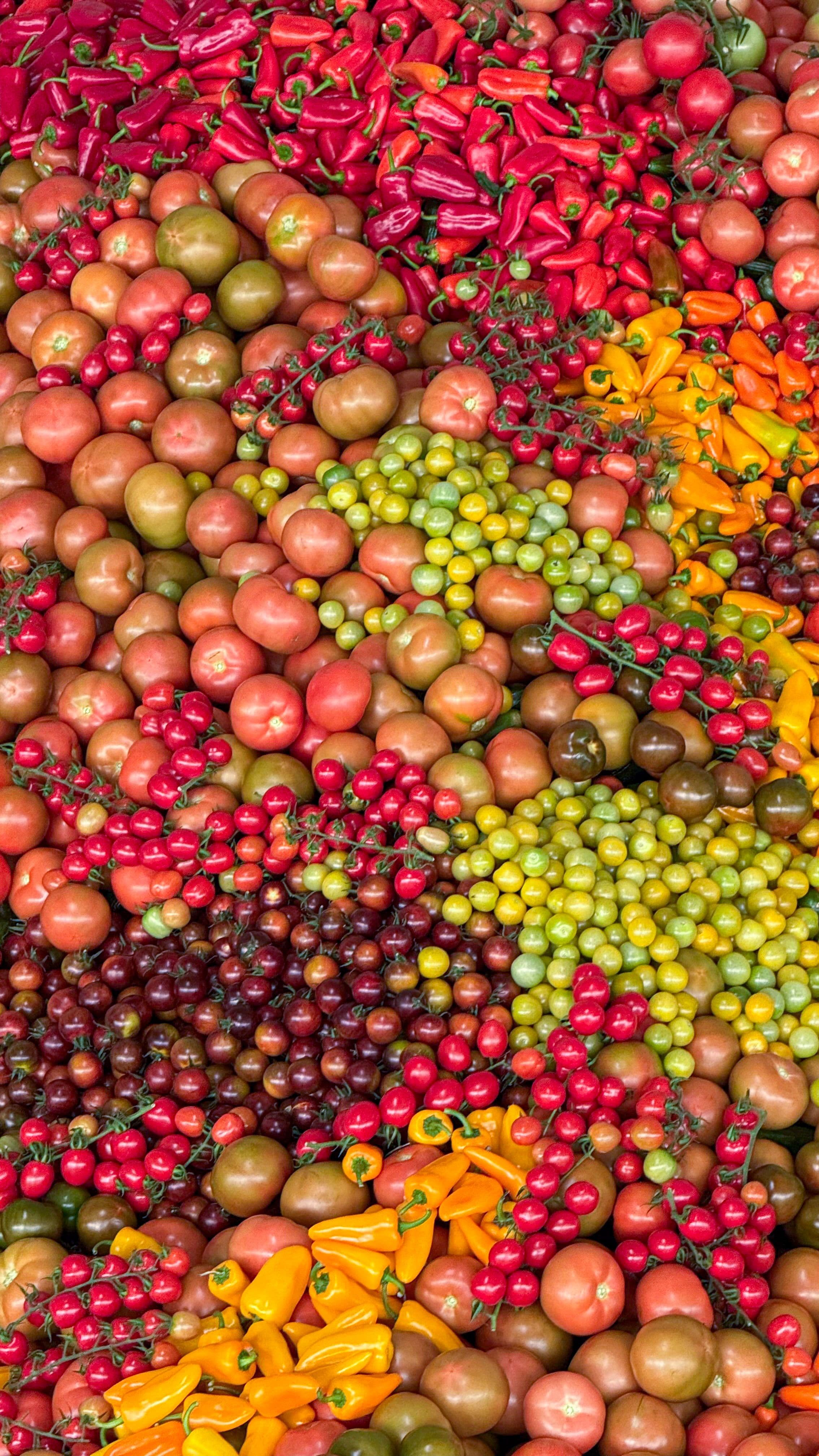 Food and agricultural professionals working with fresh produce